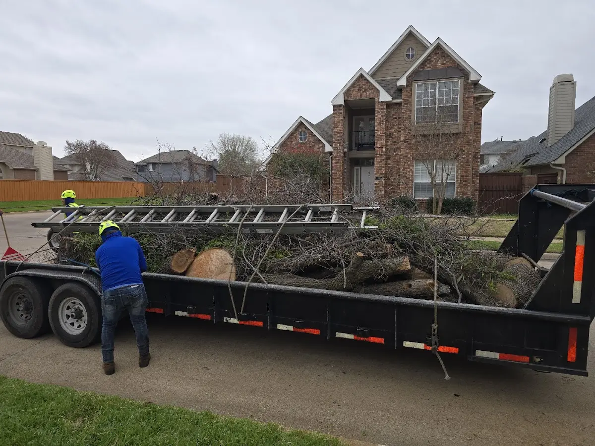 Expert Lot Clearing with proper safety equipment in Posey
